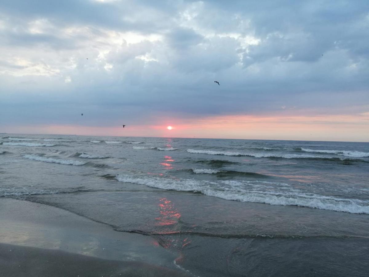 Apartament Summerland Mamaia Exteriör bild